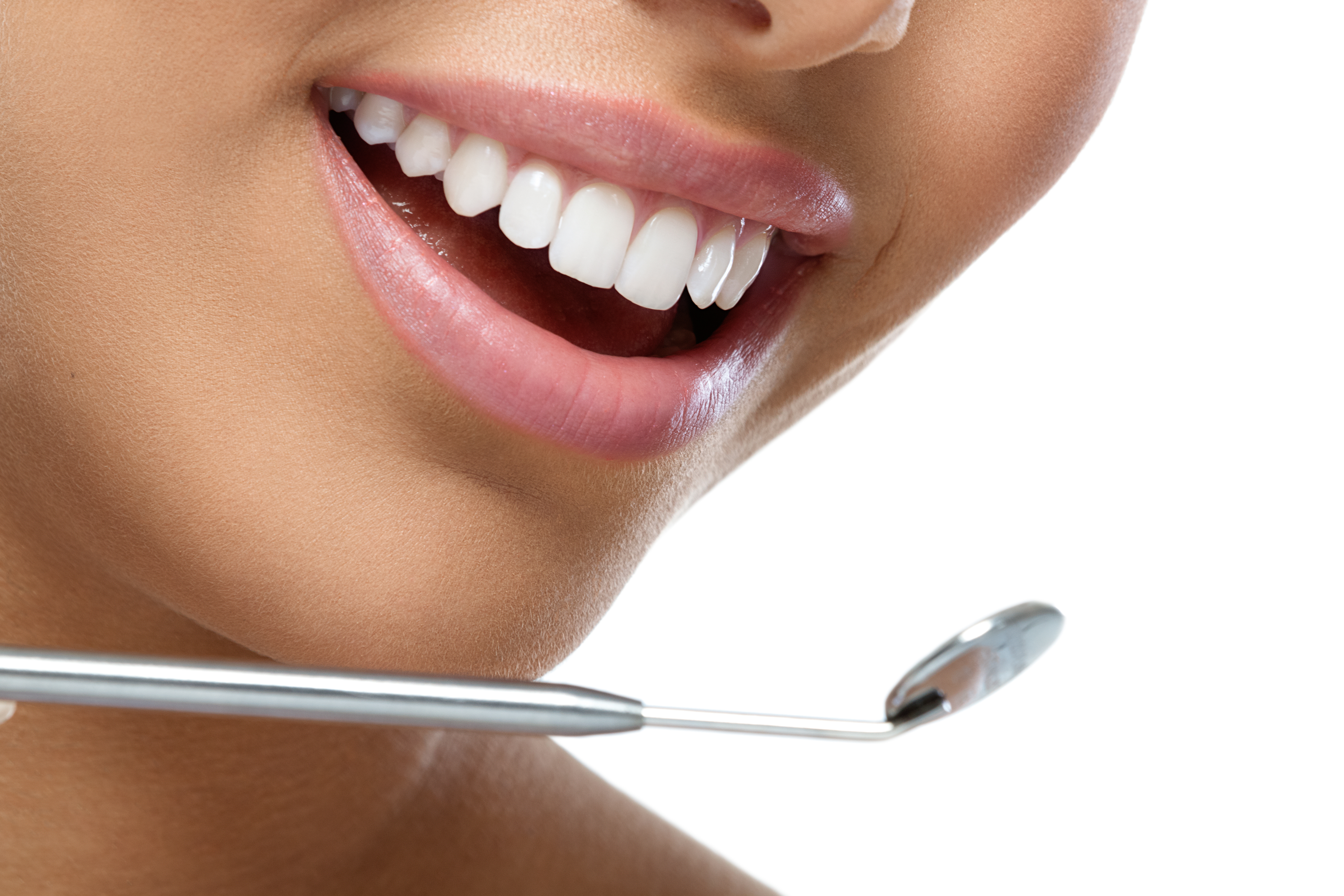 Модель полости рта. Форевер Брайт. Красивые зубы. Красивые зубы стоматология. Красивые зубы у стоматолога.
